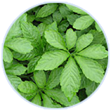 �й�������(bw������ķ��)���޹�˾-Official website