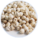 �й�������(bw������ķ��)���޹�˾-Official website