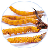 �й�������(bw������ķ��)���޹�˾-Official website