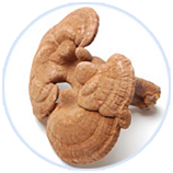 �й�������(bw������ķ��)���޹�˾-Official website